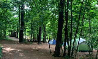 Camping near Daughters of the American Revolution (DAR) Campground — D.A.R. State Forest: Zoar Outdoor, Charlemont, Massachusetts