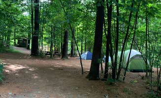 Dominick V.'s photo of tent camping at Zoar Outdoor near Stoddard, NH