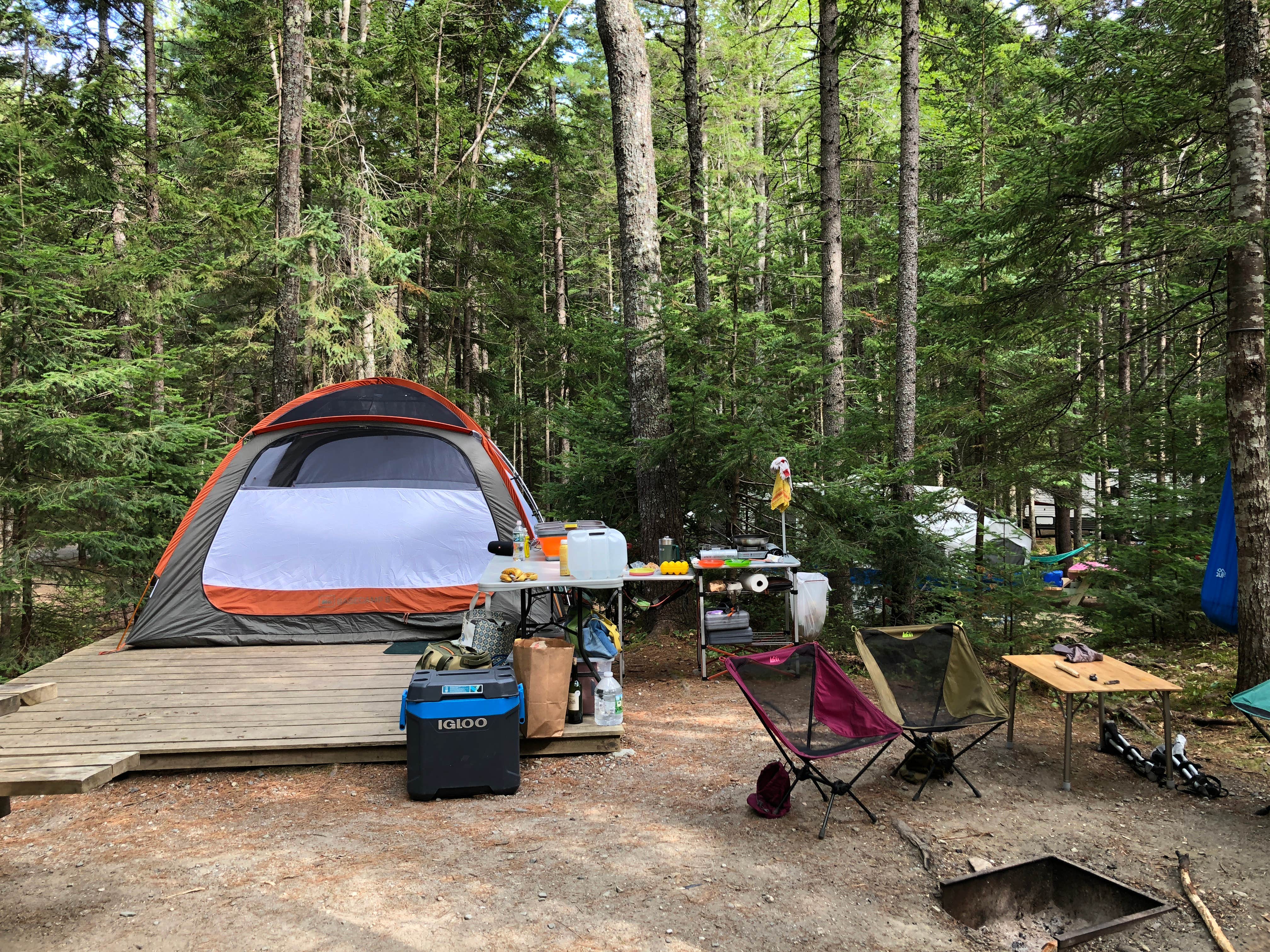 Site C44