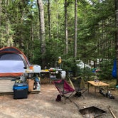 Review photo of Mount Desert Campground by Chris T., August 28, 2019