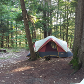 Review photo of Quechee State Park Campground by Kathy T., August 28, 2019