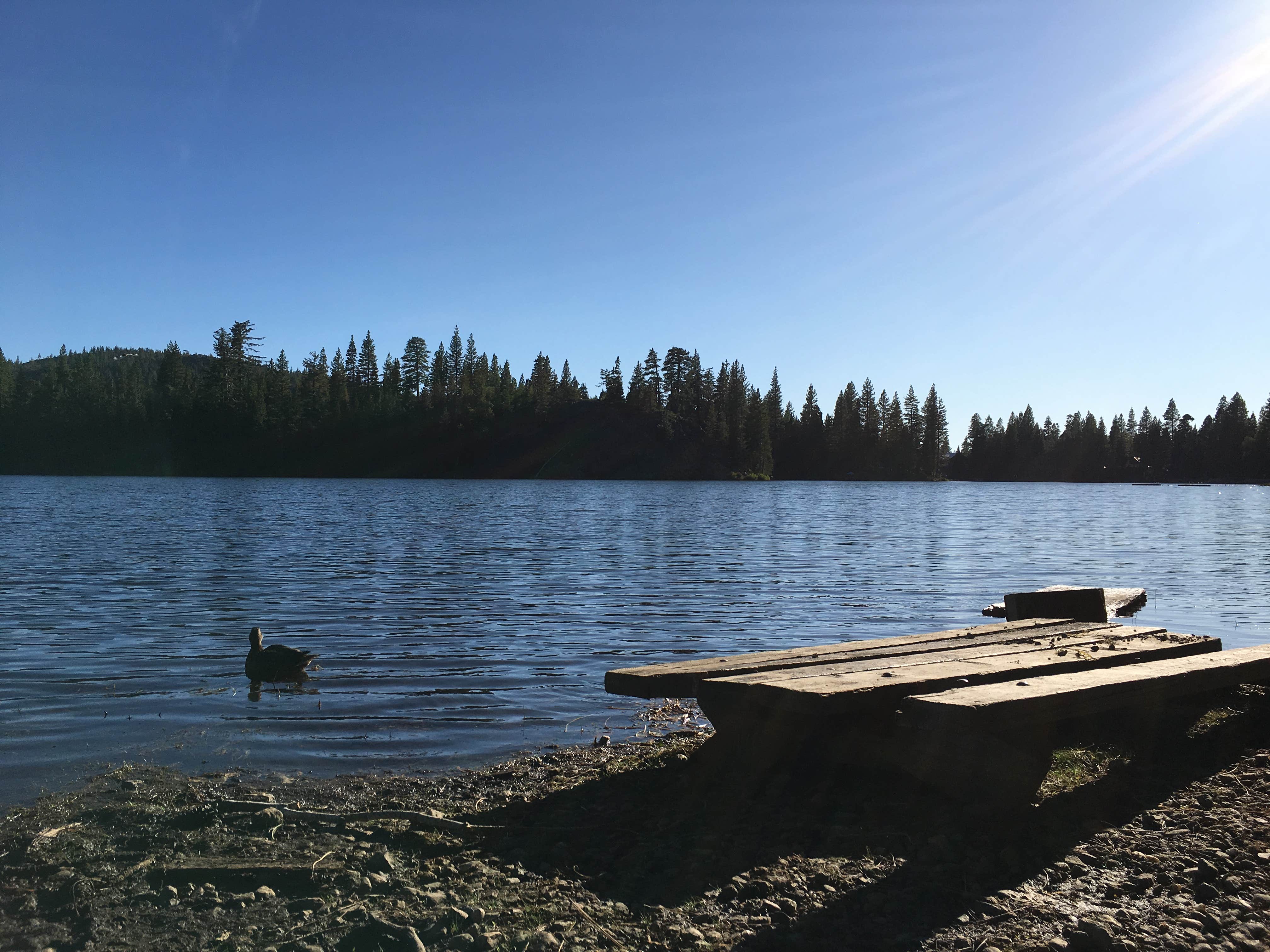 Camper submitted image from Rucker Lake Campground - 3