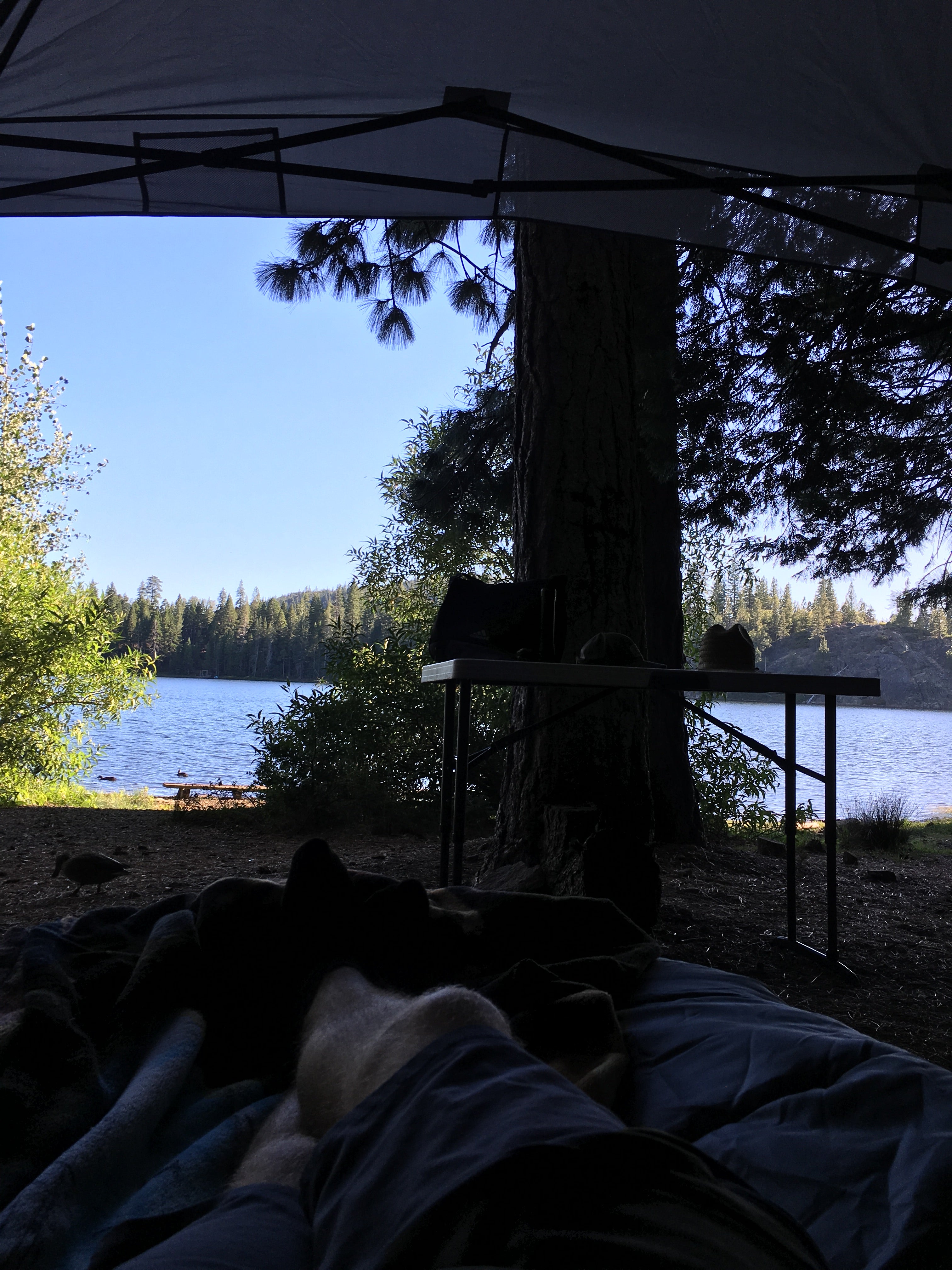 Camper submitted image from Rucker Lake Campground - 5
