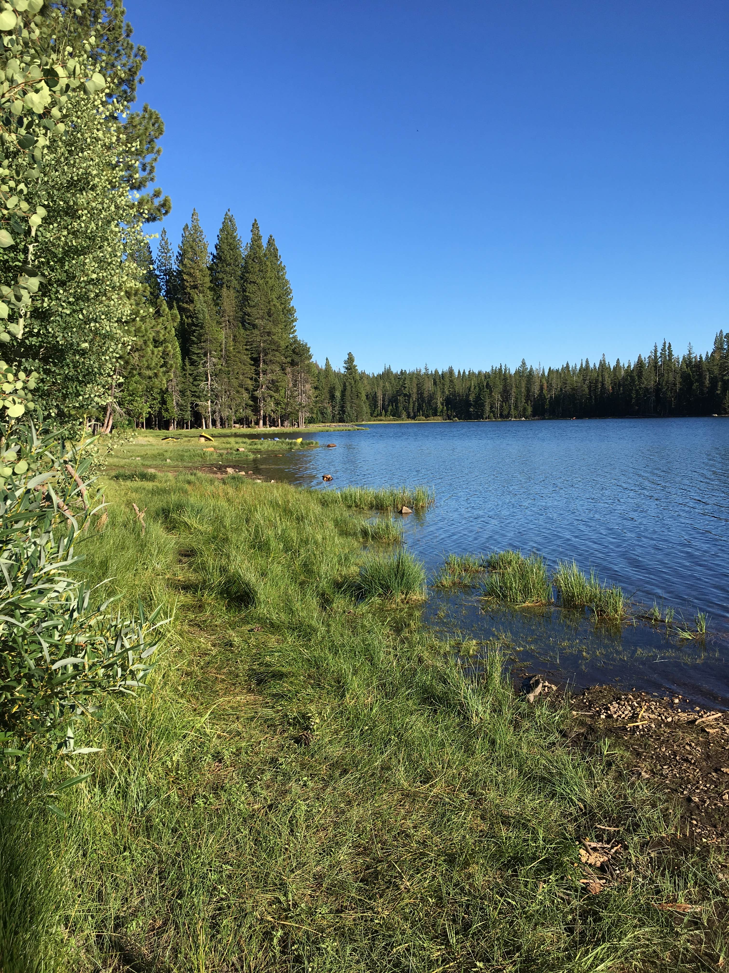 Camper-submitted photo at Rucker Lake Campground near Emigrant Gap, CA