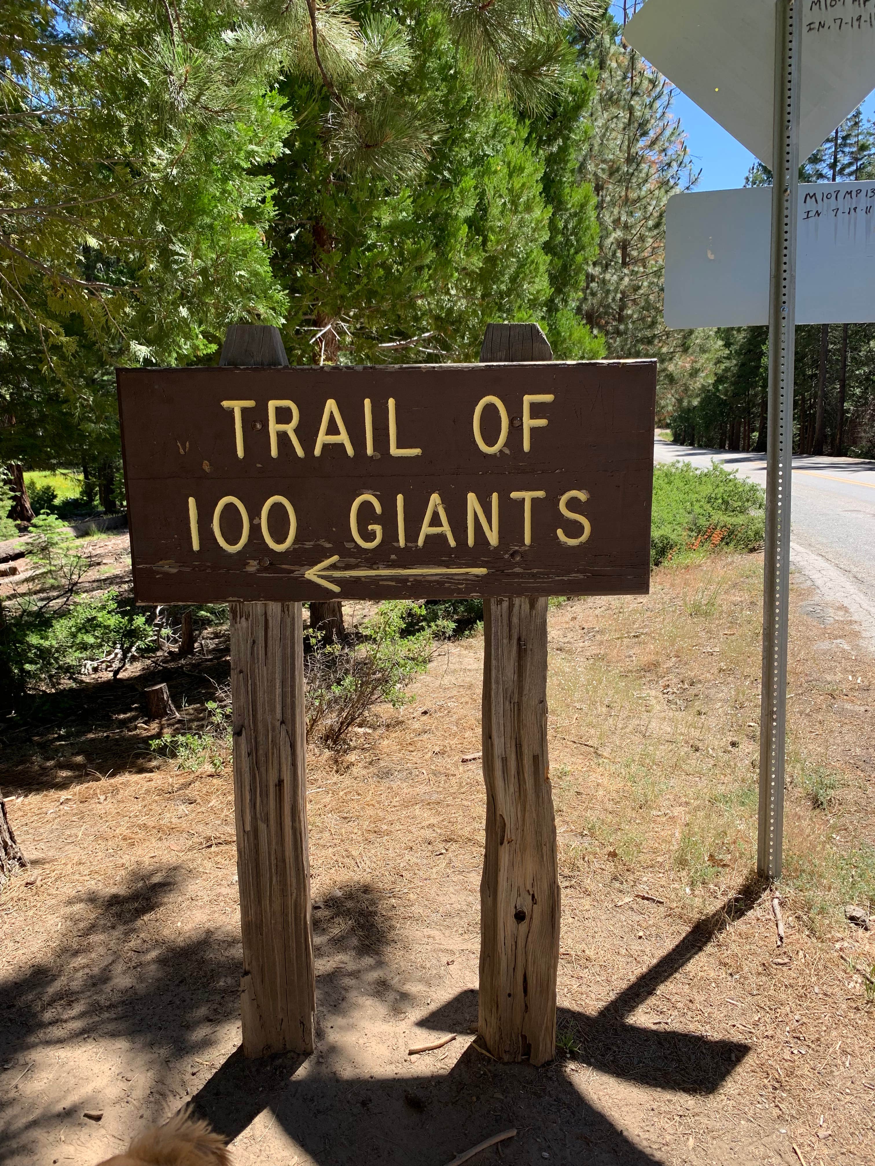Camper submitted image from Lake Isabella-Kern River KOA - 4
