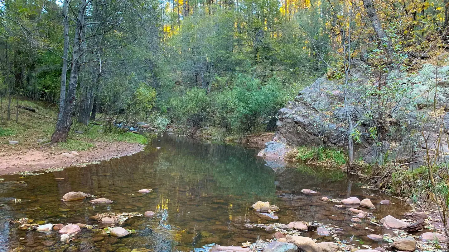 Camper-submitted photo at Lower Tonto Creek near Forest Lakes, AZ