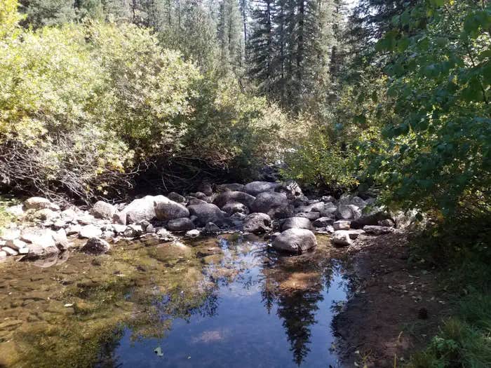 Camper submitted image from Rio De Las Vacas Campground - 1