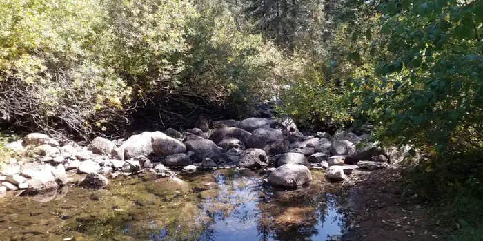 Camper submitted image from Rio De Las Vacas Campground