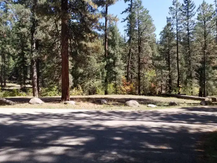 Camper-submitted photo at Rio De Las Vacas Campground near Cuba, NM