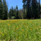 Review photo of Lake Isabella-Kern River KOA by Kathleen  D., August 28, 2019