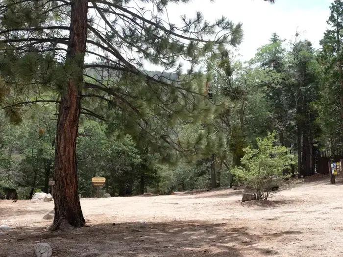 Camper-submitted photo at Fishermans Group Campground near Running Springs, CA