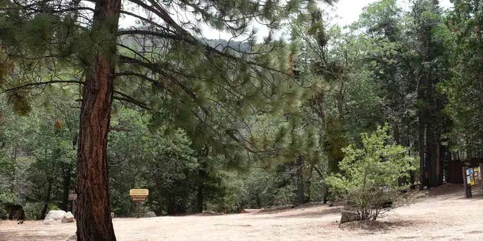 Camper submitted image from Fishermans Group Campground