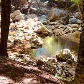 Review photo of Lost River Valley Campground by Kathy T., August 28, 2019