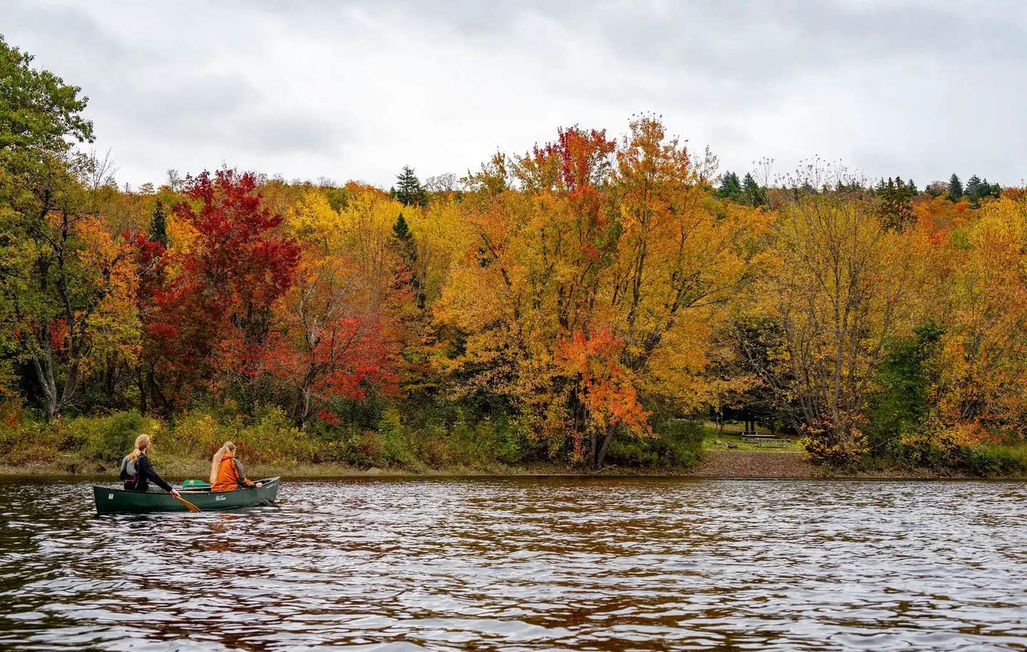 Camper submitted image from Haskell Campsite — Katahdin Woods And Waters National Monument - 1