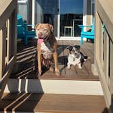 Review photo of Coachella Lakes RV Resort by Travel.Paws.Repeat , November 18, 2025