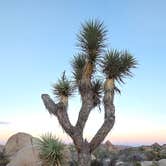 Review photo of Coachella Lakes RV Resort by Travel.Paws.Repeat , November 18, 2025