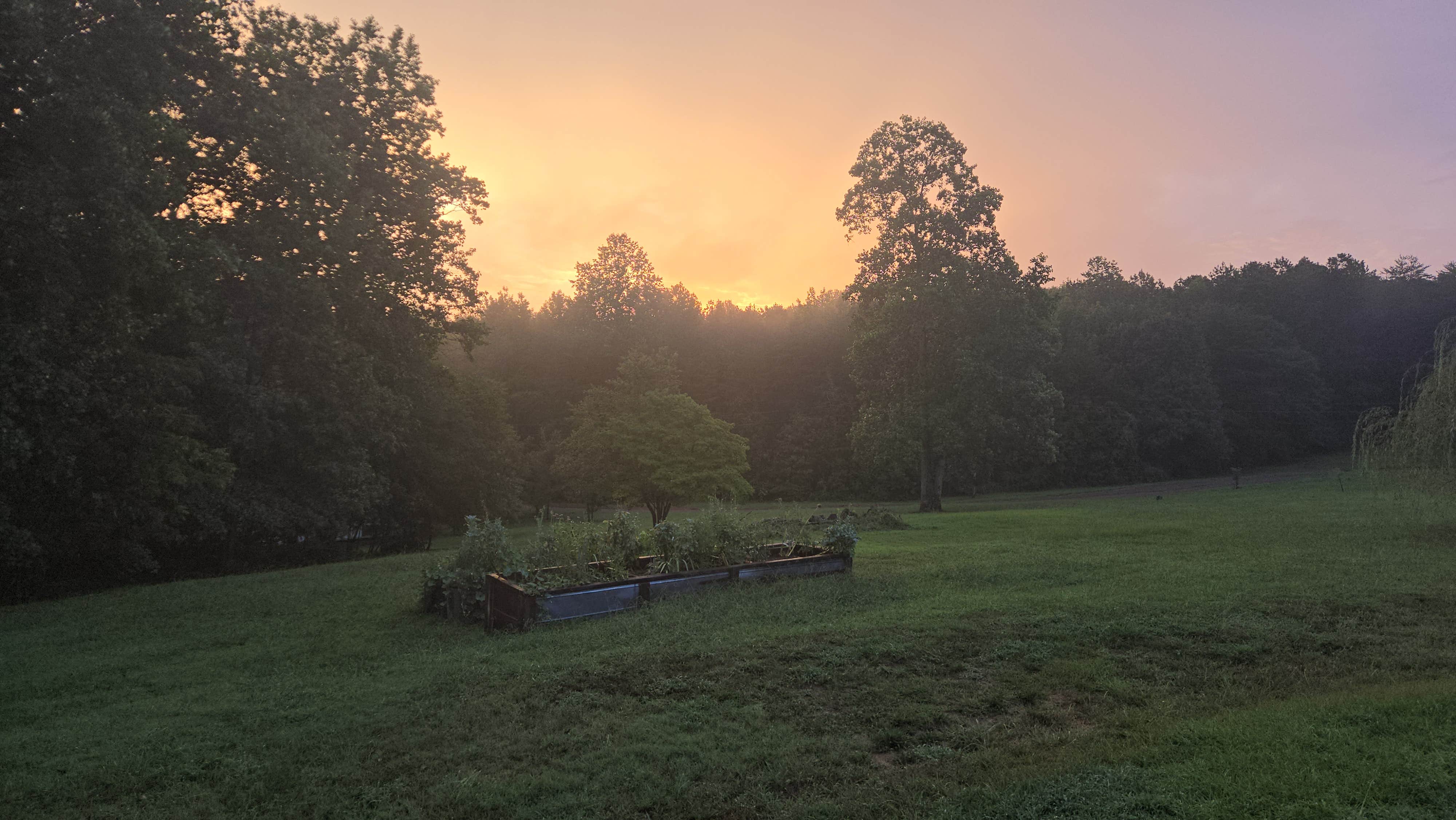 Camper submitted image from Creator x Maker Farm - 4