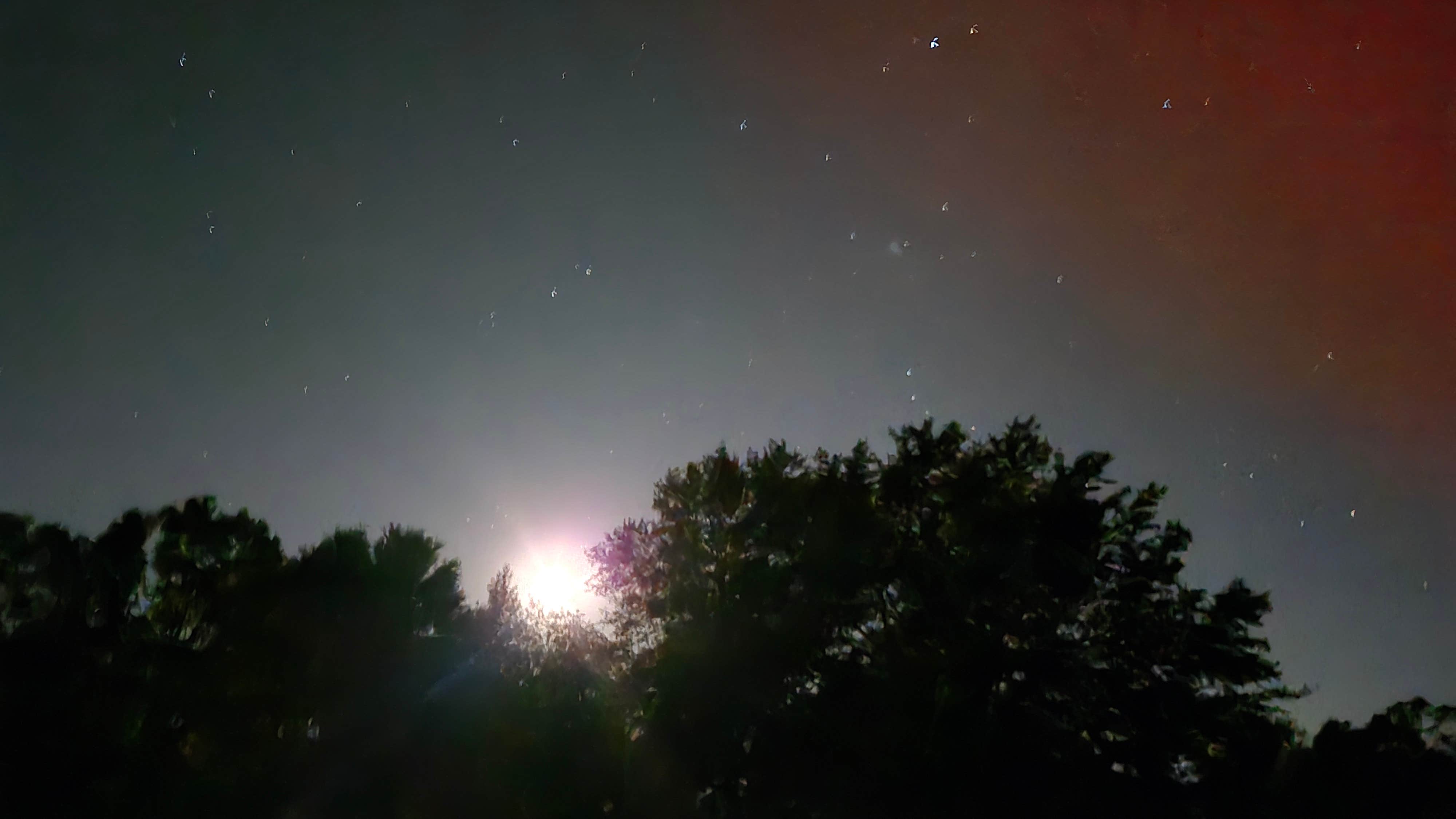 Camper submitted image from Creator x Maker Farm - 5