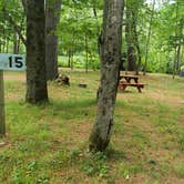 Review photo of Plymouth Sands Camping Area by Jean C., August 28, 2019