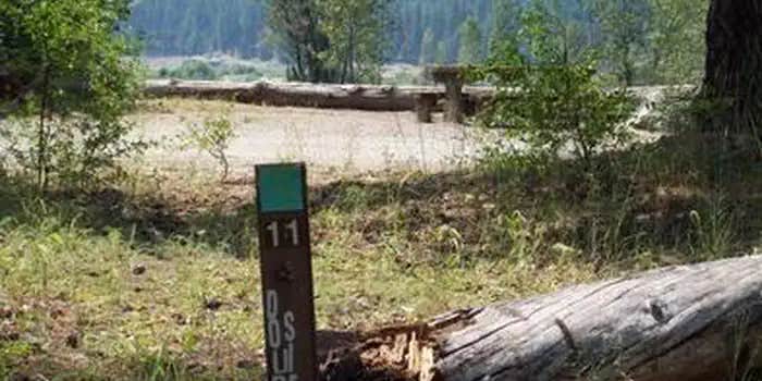 Camper submitted image from Cle Elum River Campground