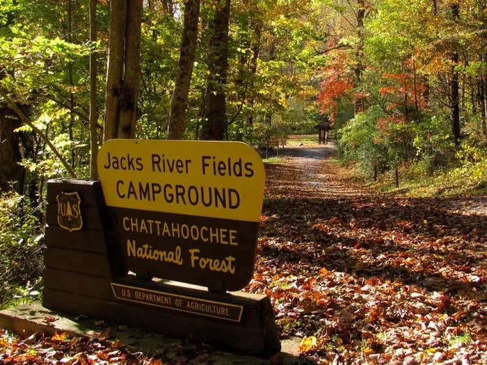 Camper submitted image from Jacks River Fields Campground — Chattahoochee Oconee National Forest - 1