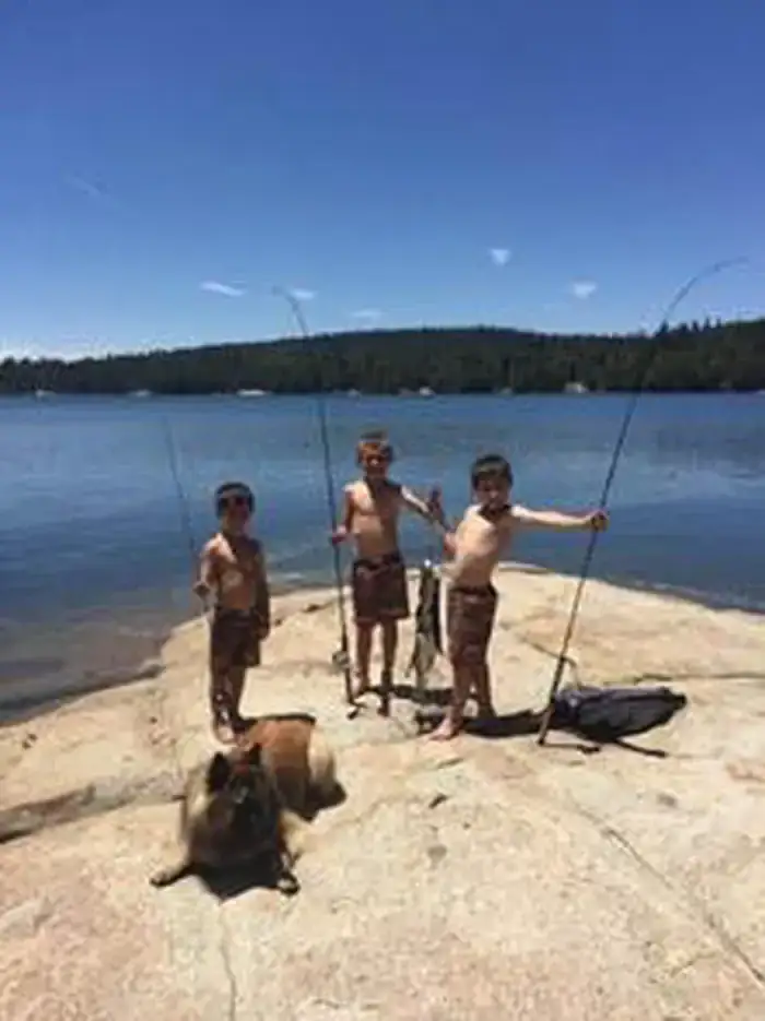 Camping near Silver Valley: (lake Alpine) Silver Tip Campground, Bear Valley, Nevada