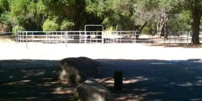 Camper submitted image from Los Padres National Forest Sage Hill Campground