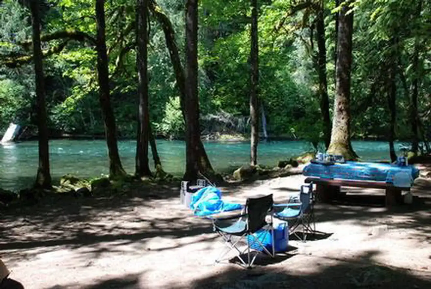 Camper-submitted photo at Paradise In Oregon near Willamette National Forest