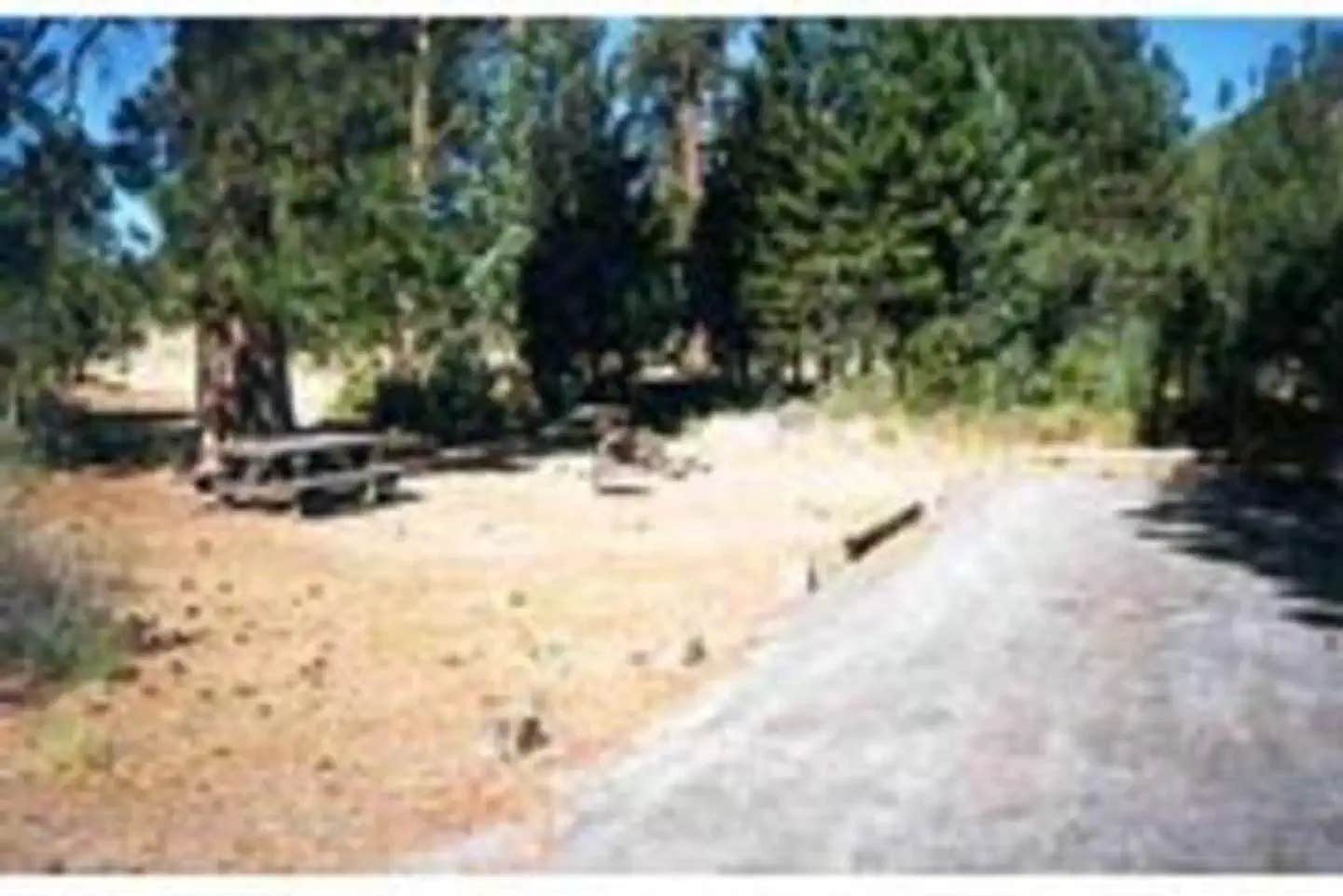 Camper submitted image from Hat Creek - 1