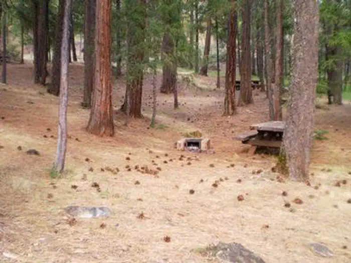 Camper submitted image from Stoney Creek Group Campground - 1