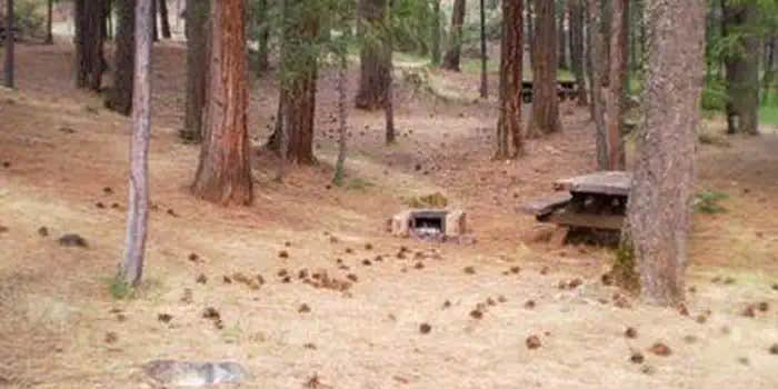 Camper submitted image from Stoney Creek Group Campground