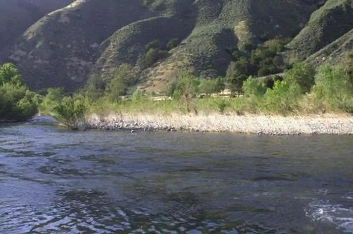 Camper-submitted photo at Los Padres National Forest Sage Hill Campground near Channel Islands National Park