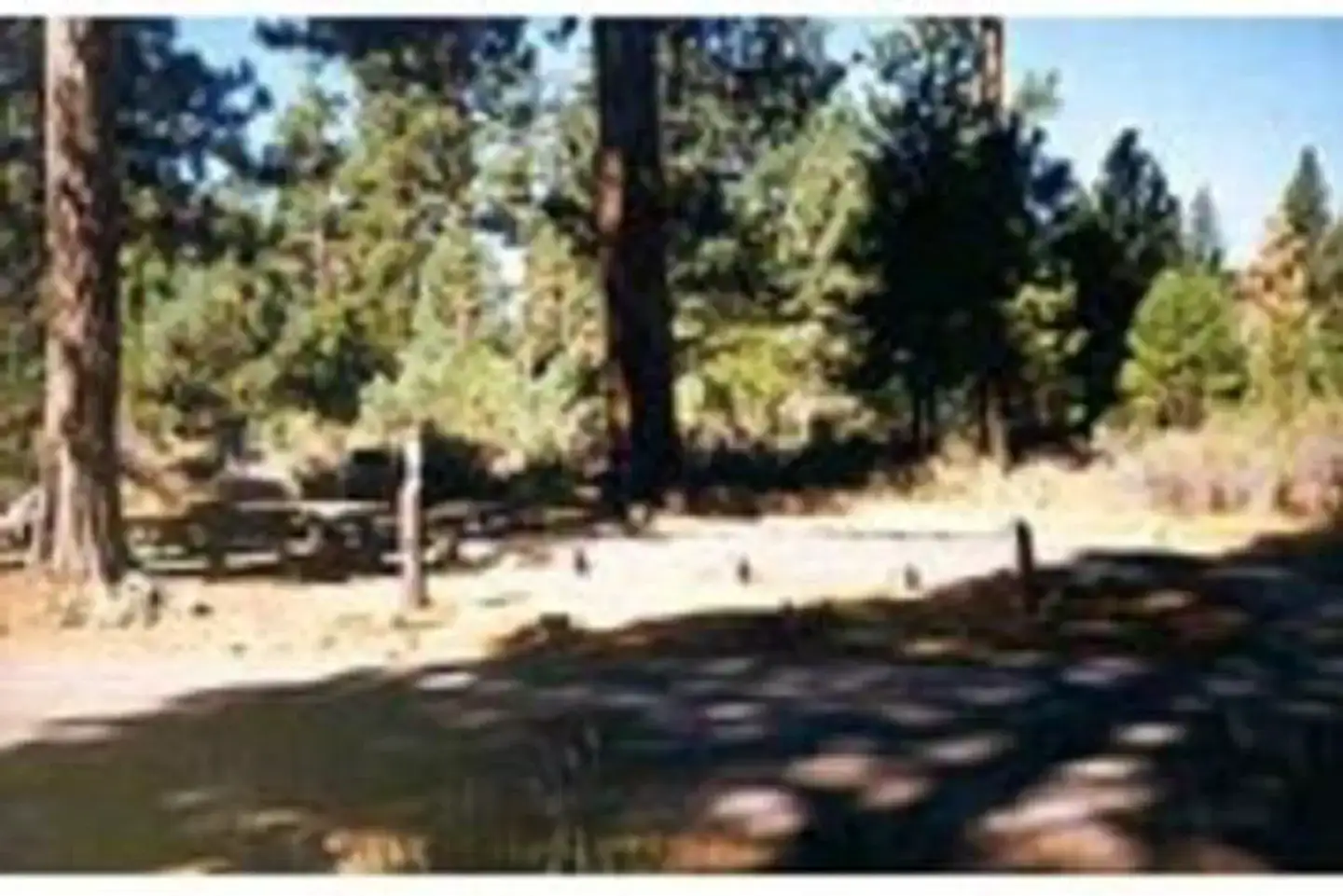 Camper-submitted photo at Hat Creek near Hat Creek, CA