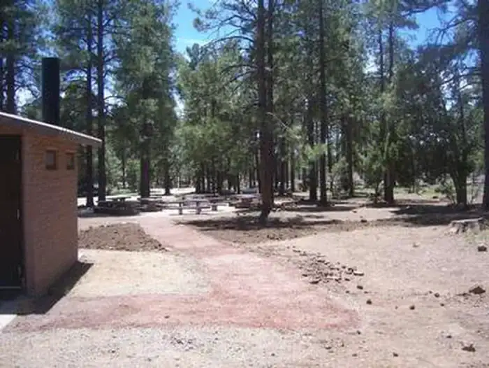 Camping near Powell Springs Campground: Playground Group, Jerome, Arizona