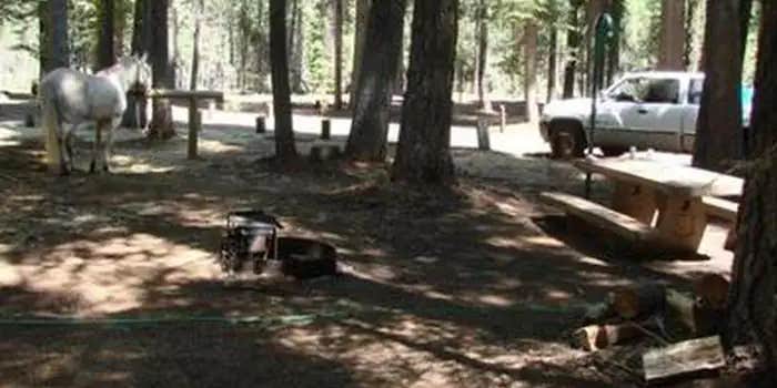 Camper submitted image from Horse Campground