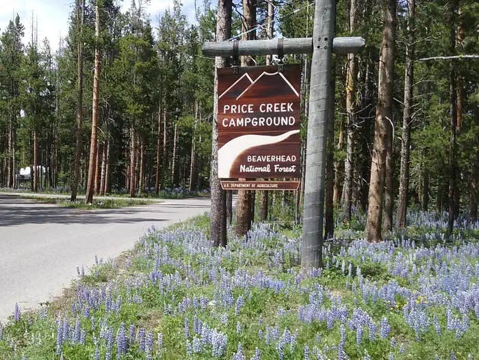 Camper submitted image from Price Creek Campground (Mt) — Beaverhead Deerlodge National Forest - 1