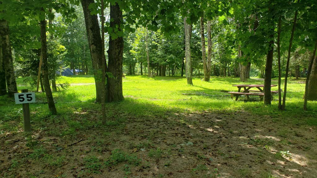 Camper-submitted photo at Plymouth Sands Camping Area near Alexandria, NH