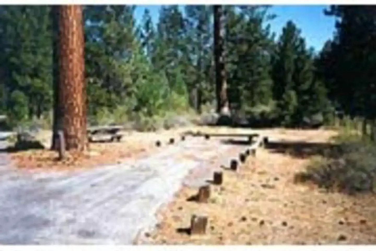 Camper-submitted photo at Hat Creek near Hat Creek, CA