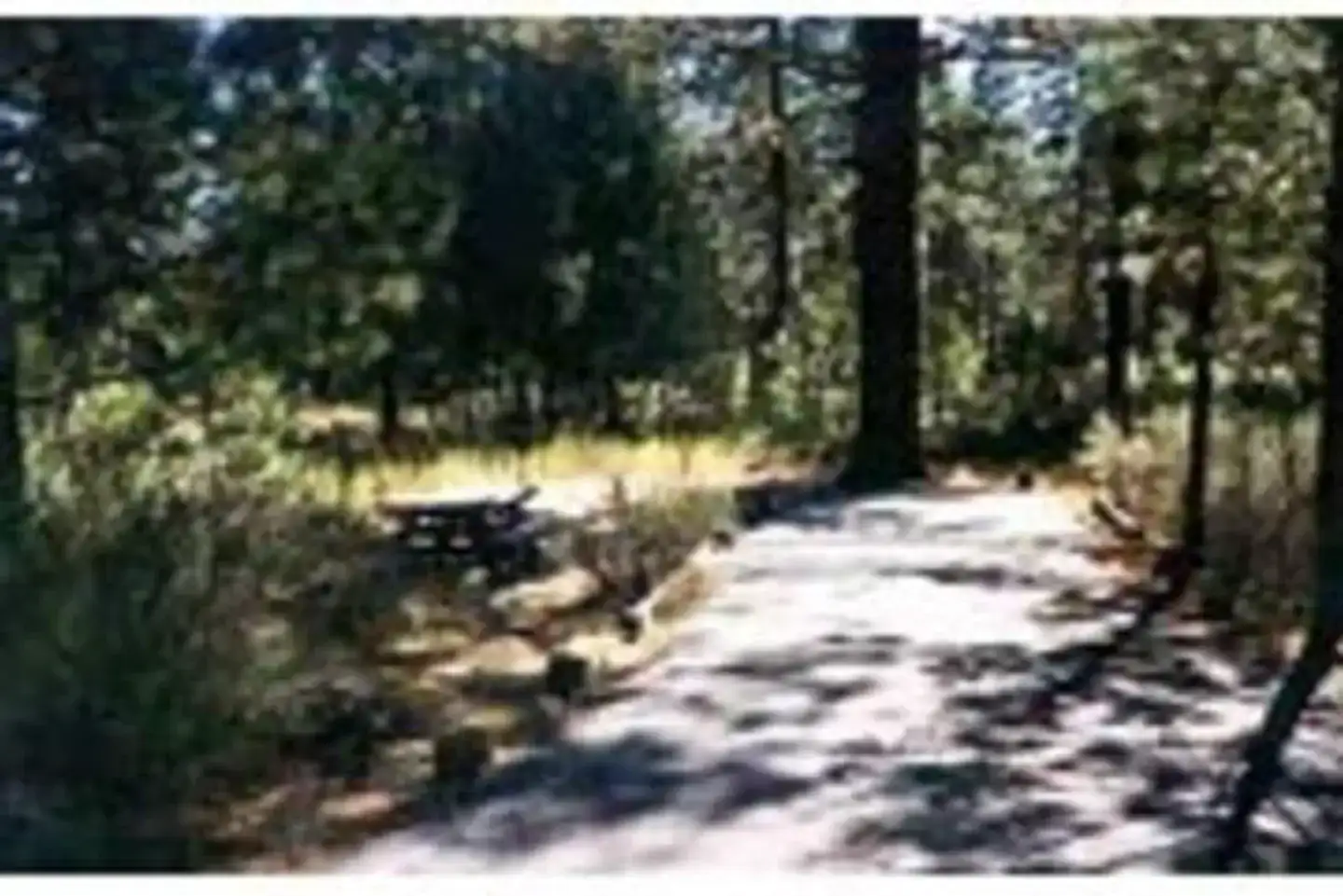 Camper-submitted photo at Hat Creek near Hat Creek, CA