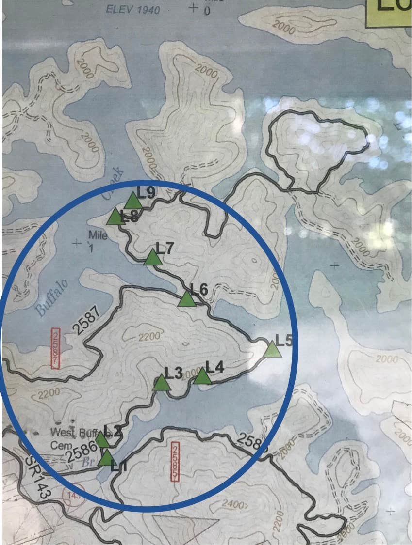Camper submitted image from Long Hungry Road Dispersed Campsites - 5