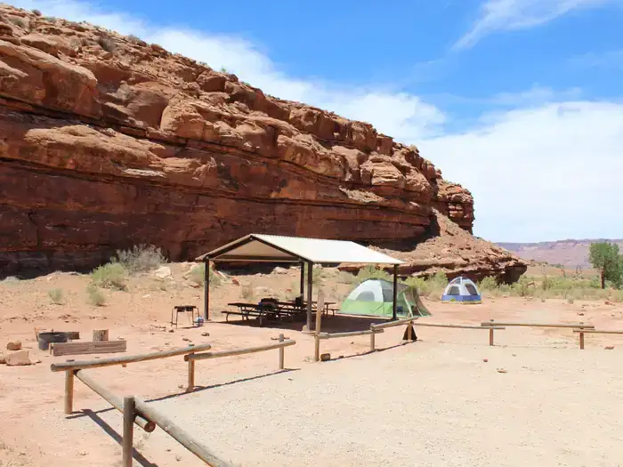 Camping near Needles Outpost Campground: Creek Pasture Group Site, La Sal, Utah