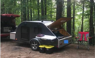 Bob S.'s photo at Long Hungry Road Dispersed Campsites near Croatan National Forest