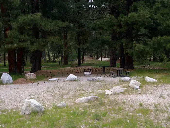 Camper-submitted photo at Elks Flat Campground near Corral, ID