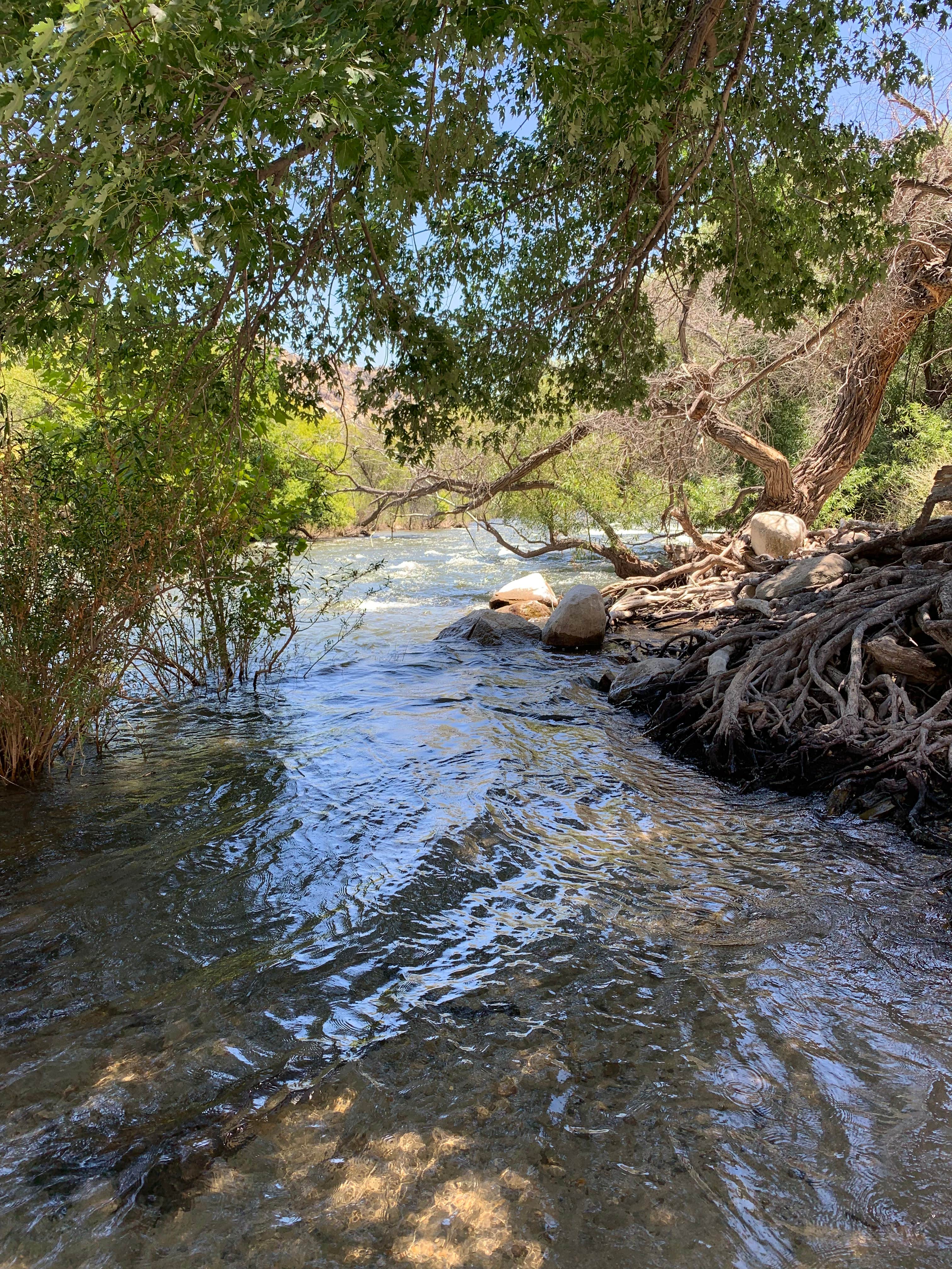 Camper submitted image from Frandy Park Campground - 3