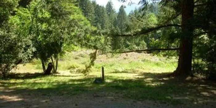 Camper submitted image from Siskiyou National Forest Chinquapin Group Campground