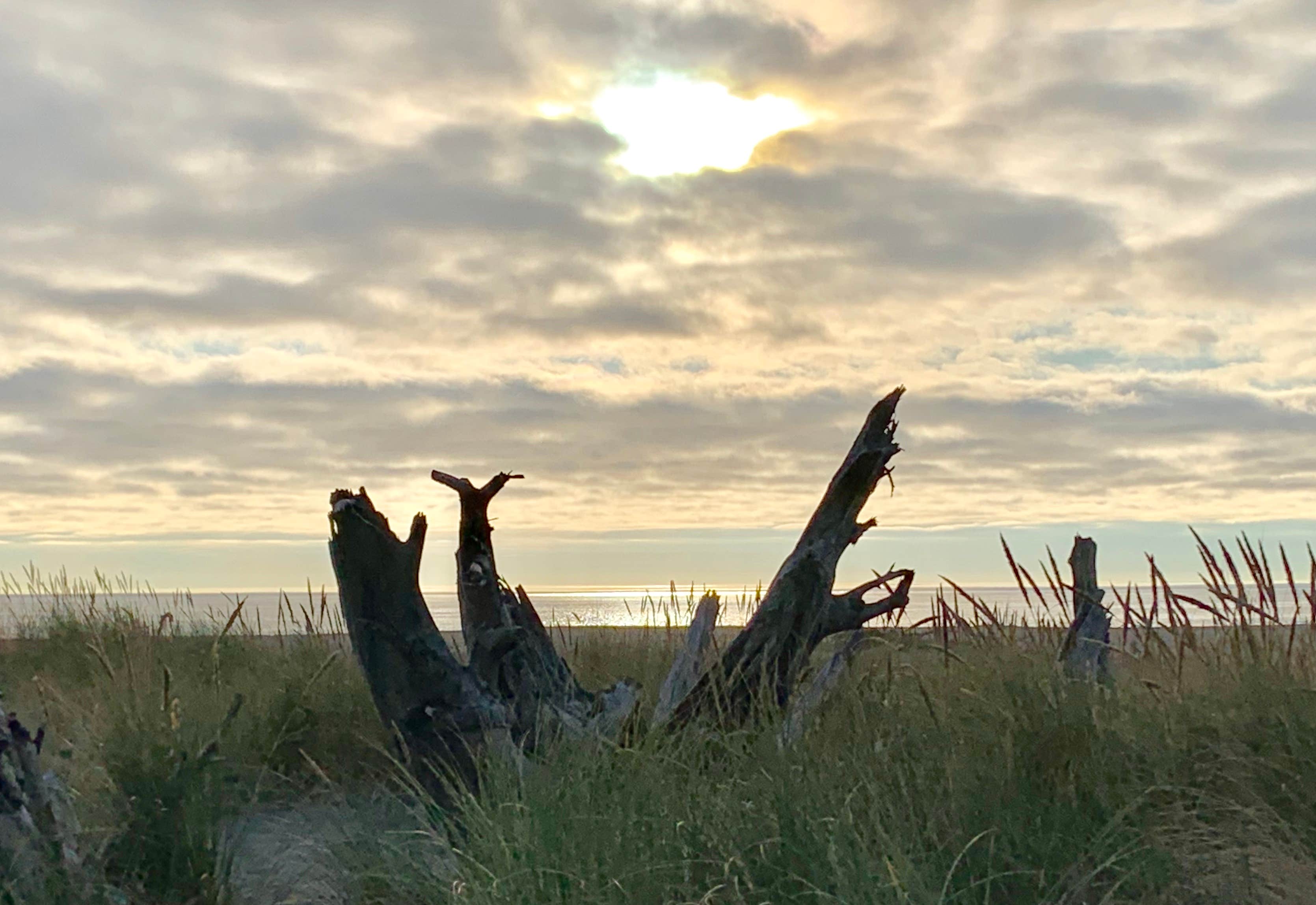 Camper-submitted photo at Turtle Rock RV Resort near Ophir, OR