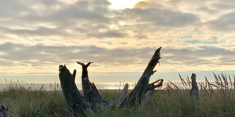 Camper submitted image from Turtle Rock RV Resort