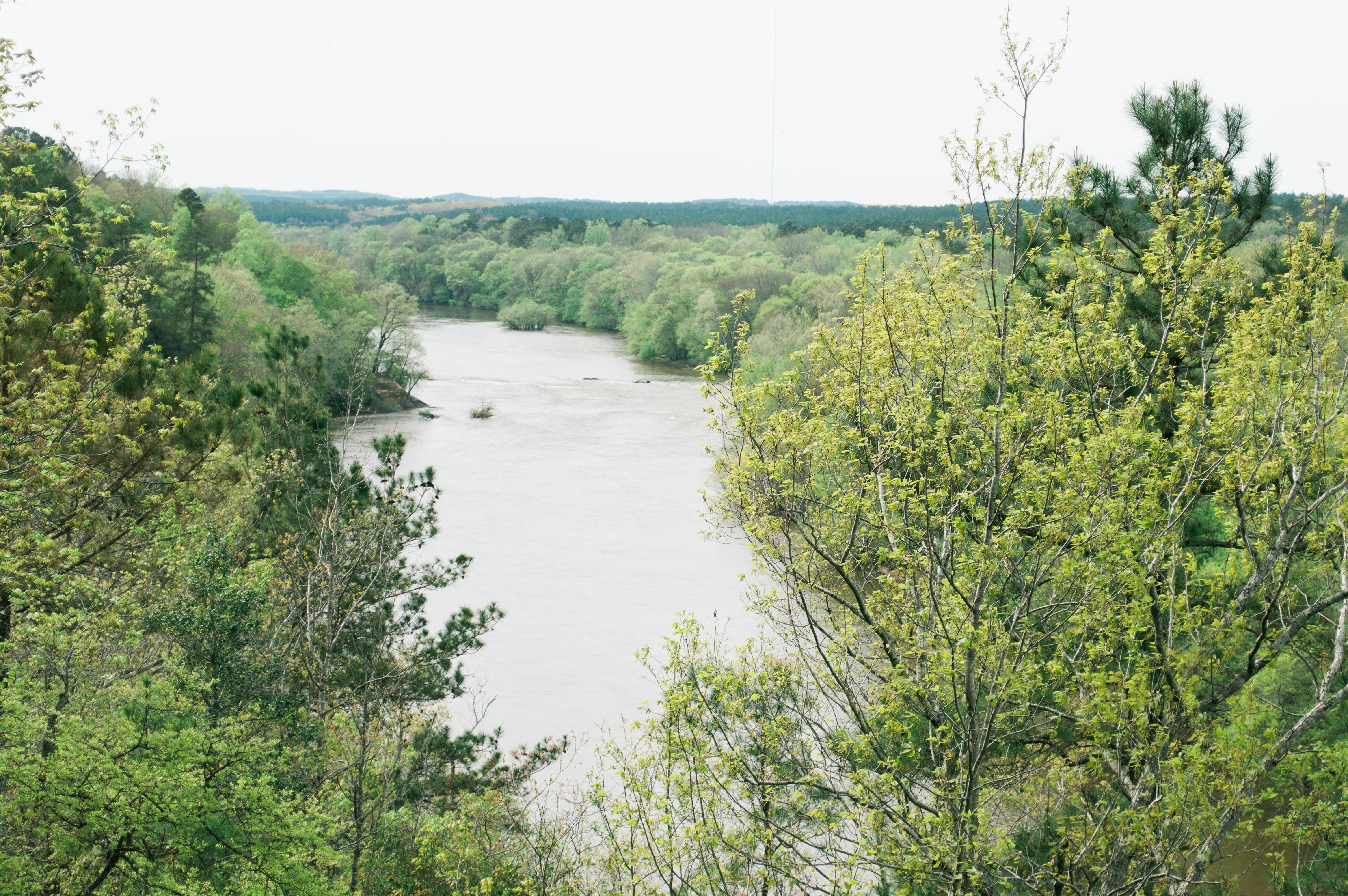 Camper submitted image from Canoe Camp — Raven Rock State Park - 2
