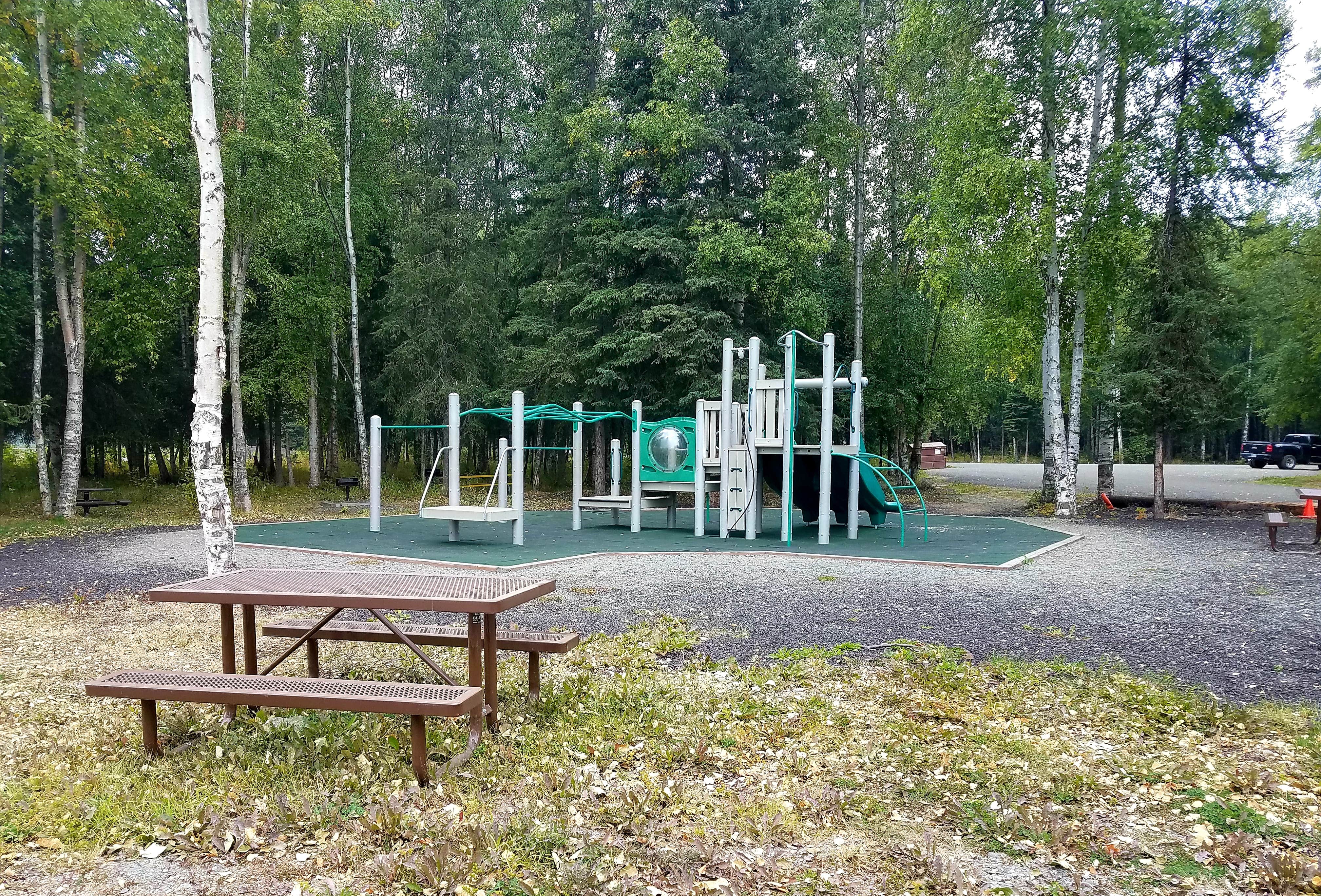 Camper submitted image from Black Spruce Campground - 4