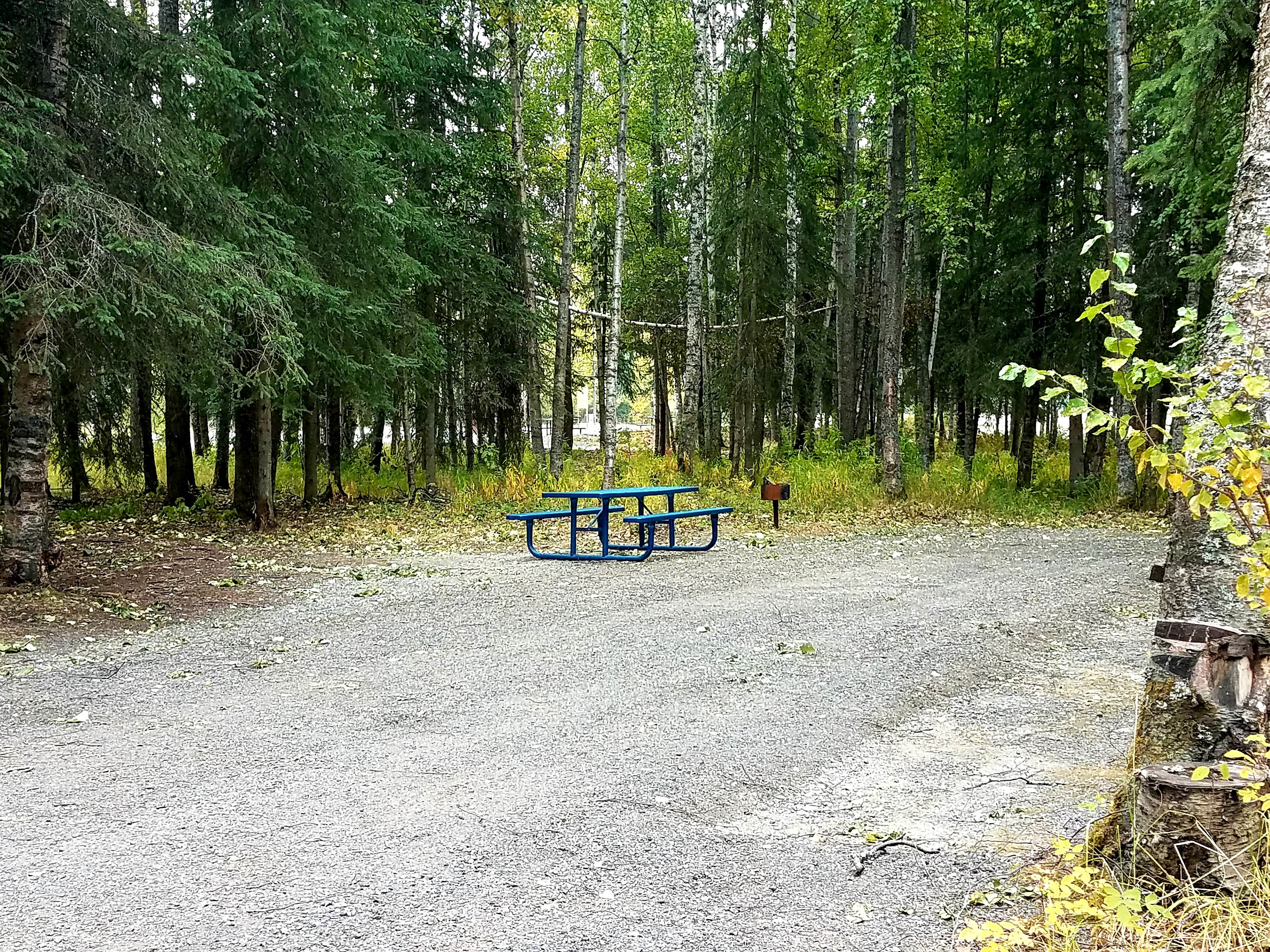 Camper-submitted photo at Black Spruce Campground near Anchorage, AK